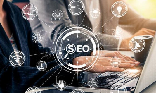 搜索引擎优化 (seo) 新手指南：基础知识从0到1